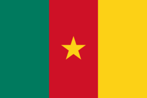 Cameroon Flag